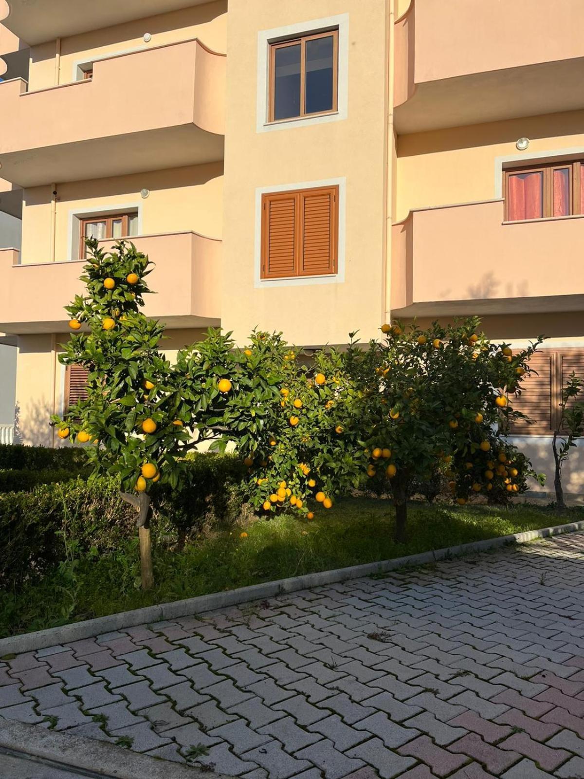 Villa Dei Limoni Škalngur Exteriör bild