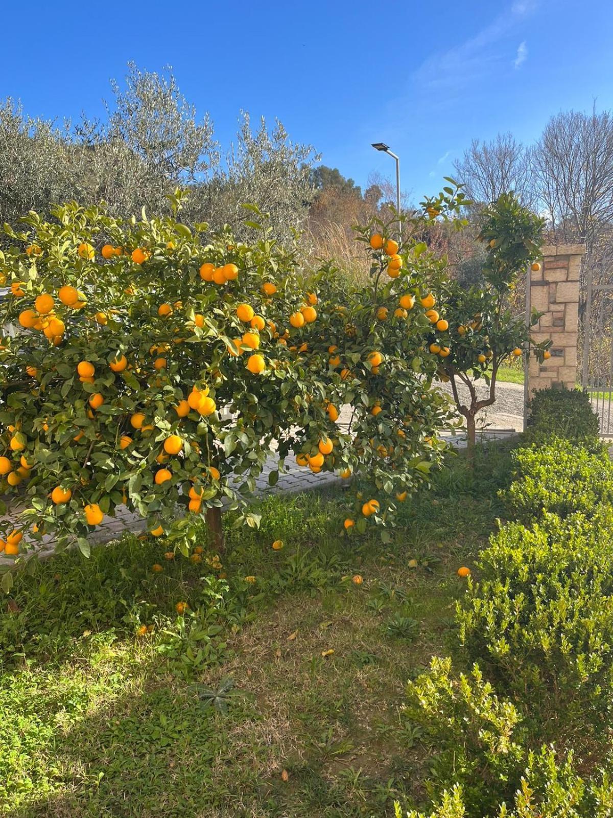 Villa Dei Limoni Škalngur Exteriör bild